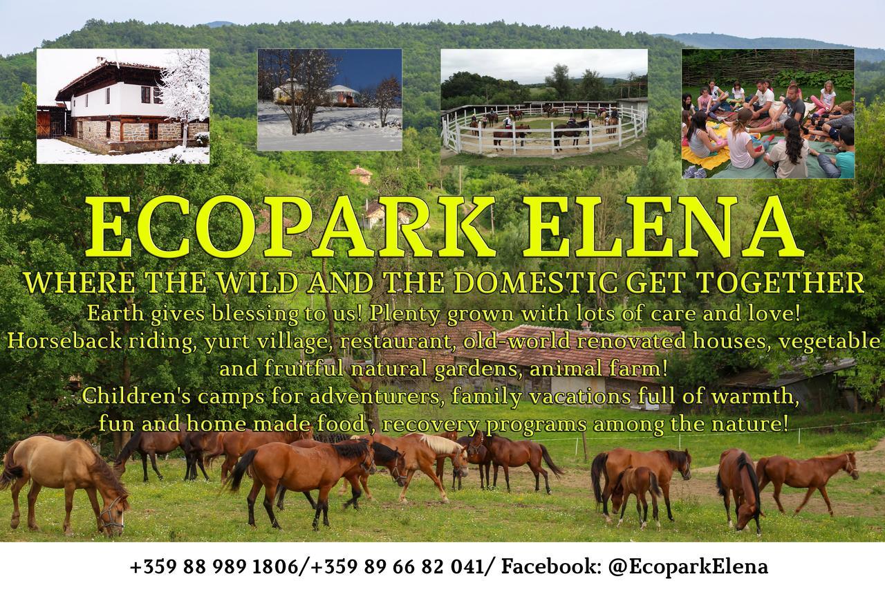 Ecopark Elena Hotel Eksteriør billede