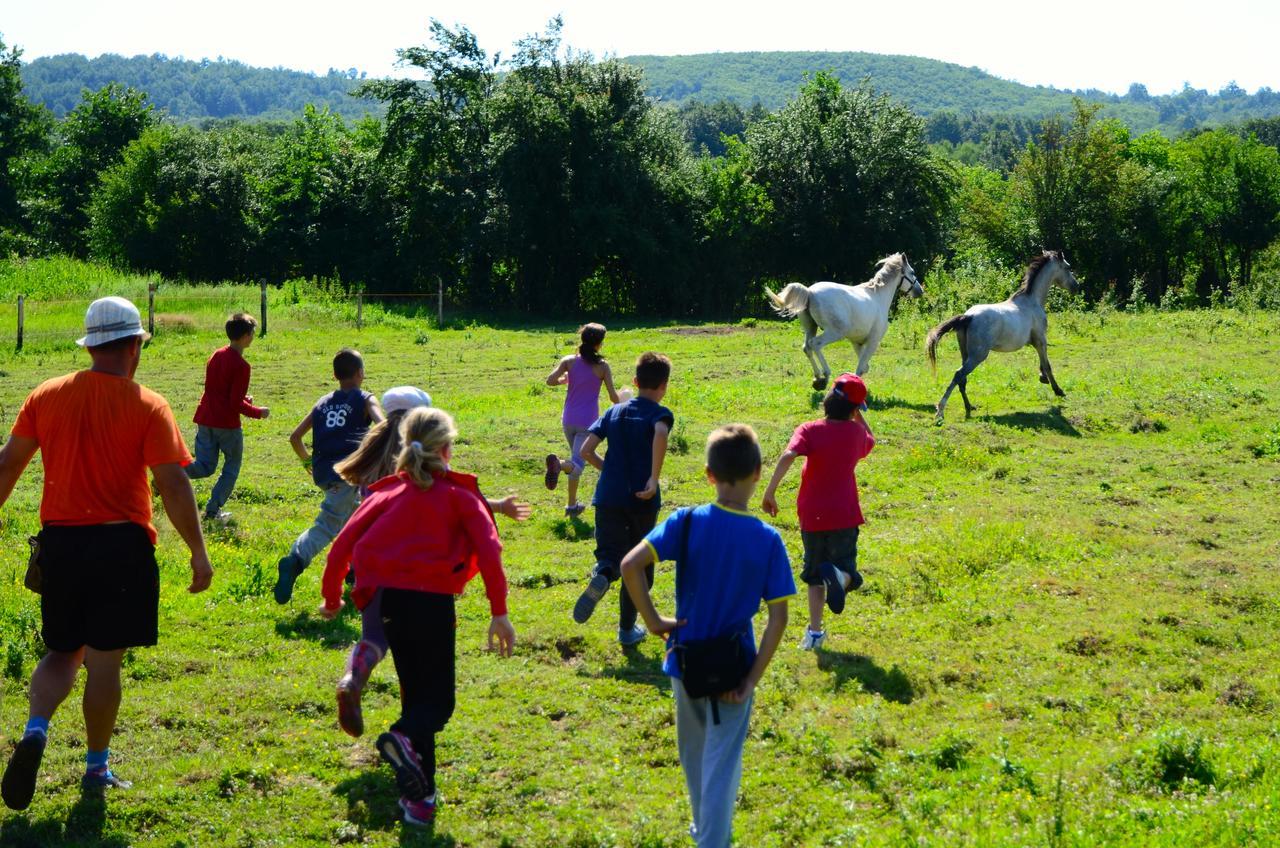 Ecopark Elena Hotel Eksteriør billede
